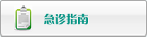 女人做爱视频网战